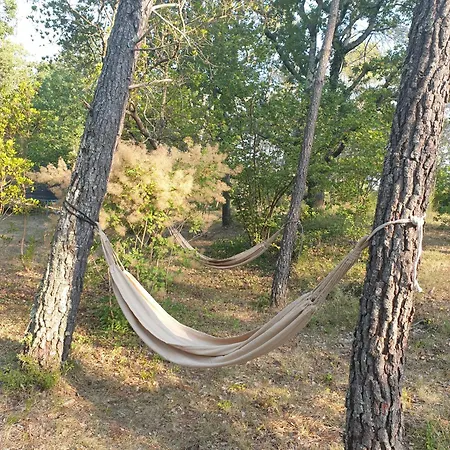 Luxury tent L'albatros Fayence