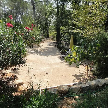 Luxury tent L'albatros
