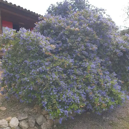 L'albatros Tente de luxe Fayence