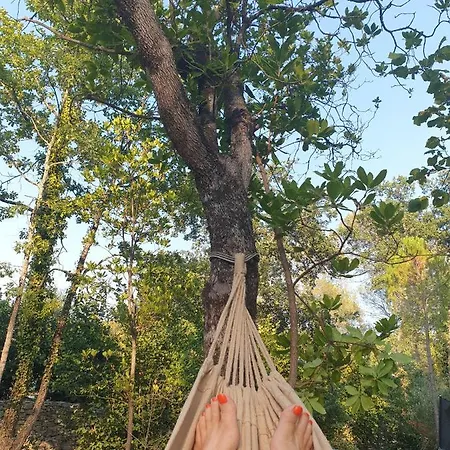 Tente de luxe L'albatros 3*